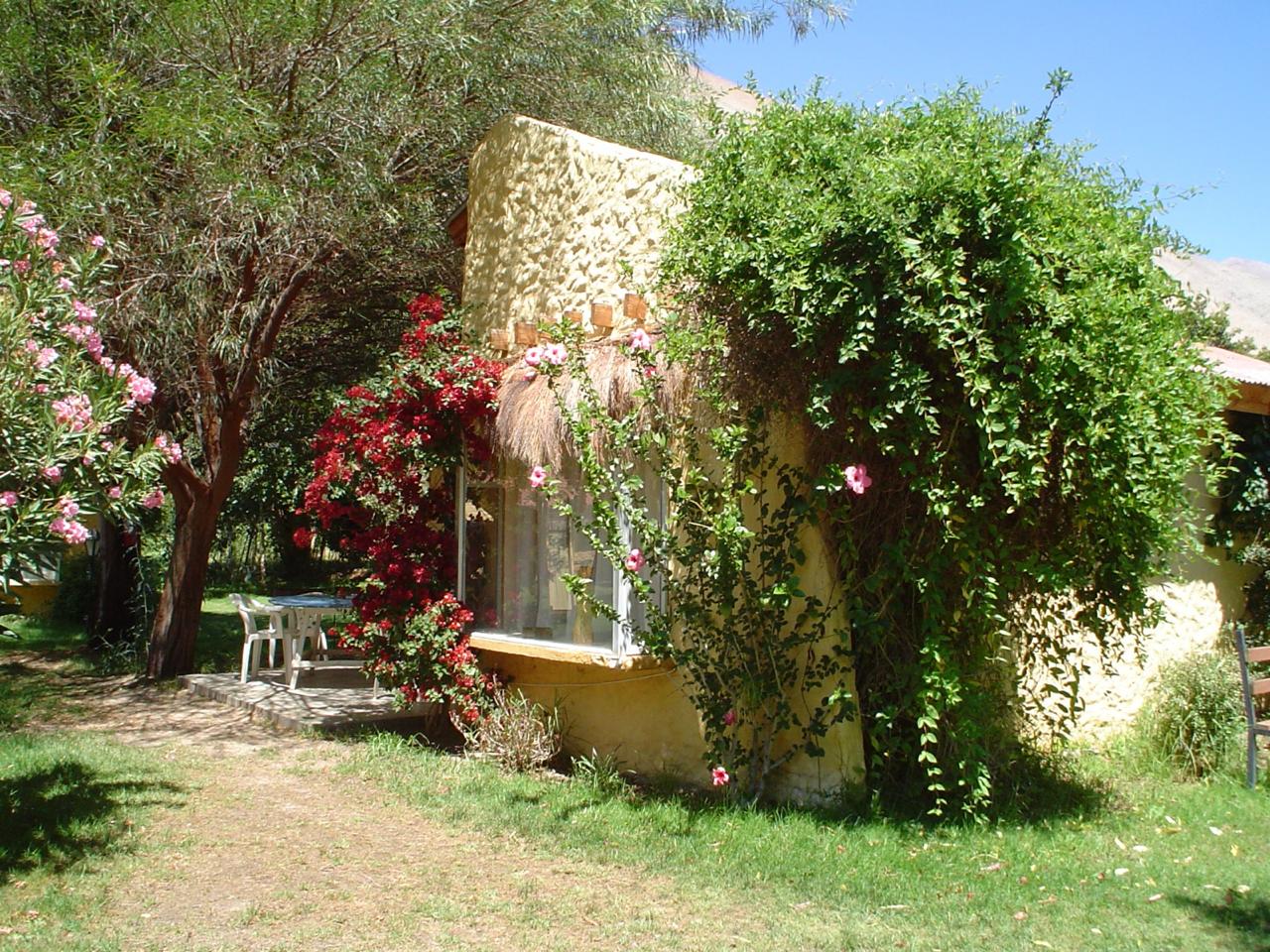 91a02abd-87cd-44d5-a745-e8536b0b952c